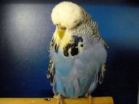 2012 002.jpg